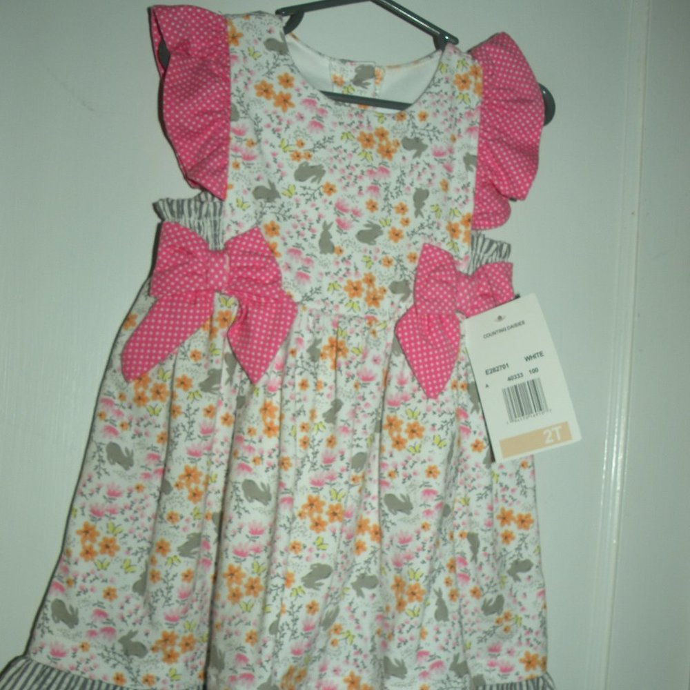 Counting Daisies Easter Bunny Rabbit Dress 2T NWT